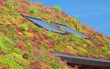 Hutton Village living roof systems